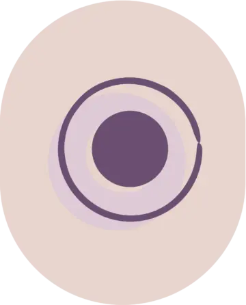 Image - ICONS-18-360x446.webp